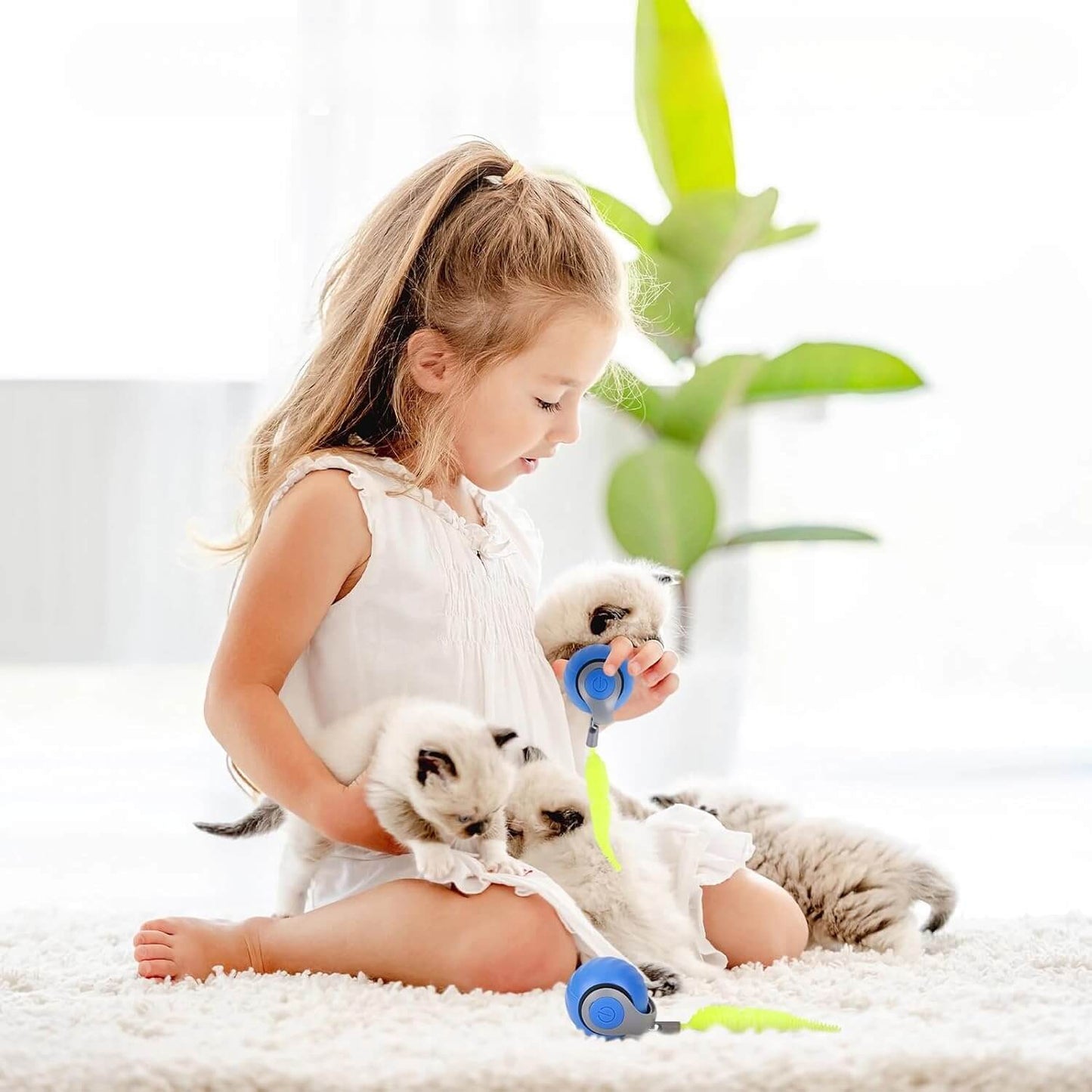 Chass'Ball Minouky™